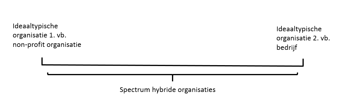 Hybride organisaties